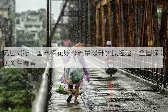 玩法揭秘|国产探花账号流量提升实操经验,全国探花视频在哪看