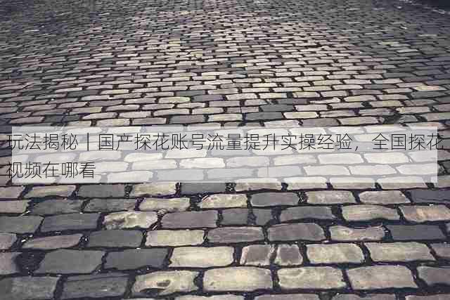 玩法揭秘|国产探花账号流量提升实操经验,全国探花视频在哪看