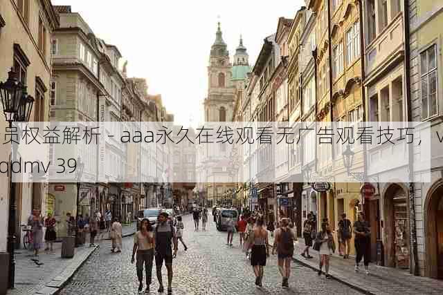 会员权益解析 - aaa永久在线观看无广告观看技巧,vip aqdmv 39