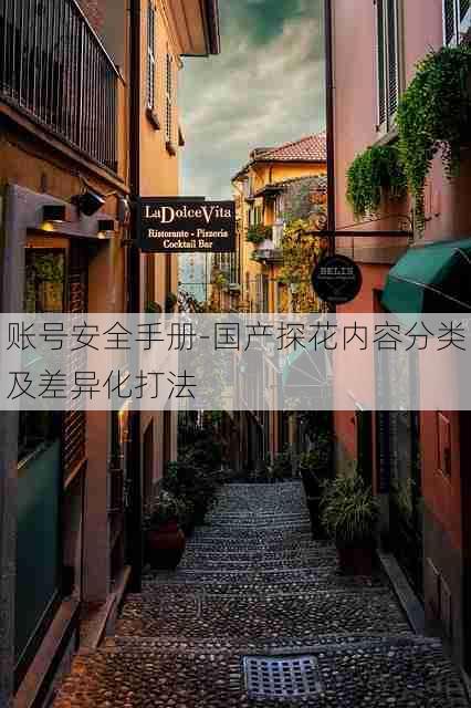 账号安全手册-国产探花内容分类及差异化打法