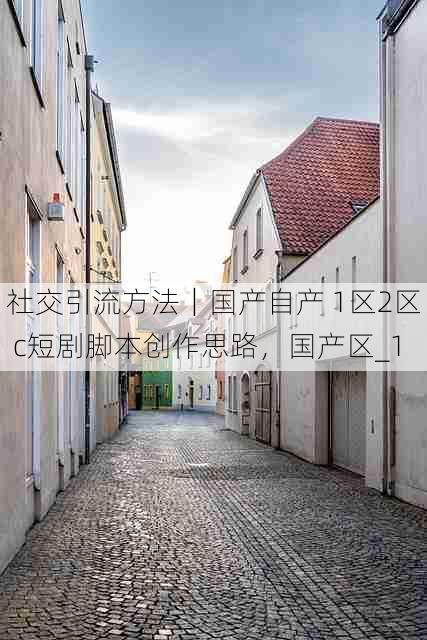 社交引流方法｜国产自产 1区2区 c短剧脚本创作思路，国产区_1