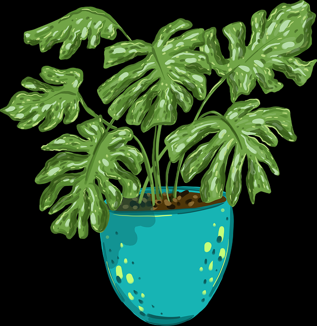 内容更新解析-欧美一区二区三区如何快速收藏影片？