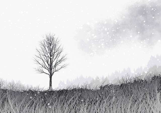 国产探花短视频热度飙升解析|社交推广技巧,全国探花视频在哪看