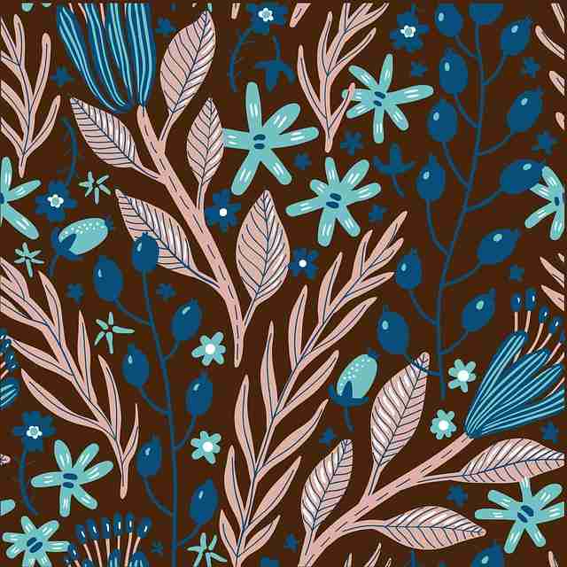 平台使用教程-深入解析欧美一区二区三区内容生态